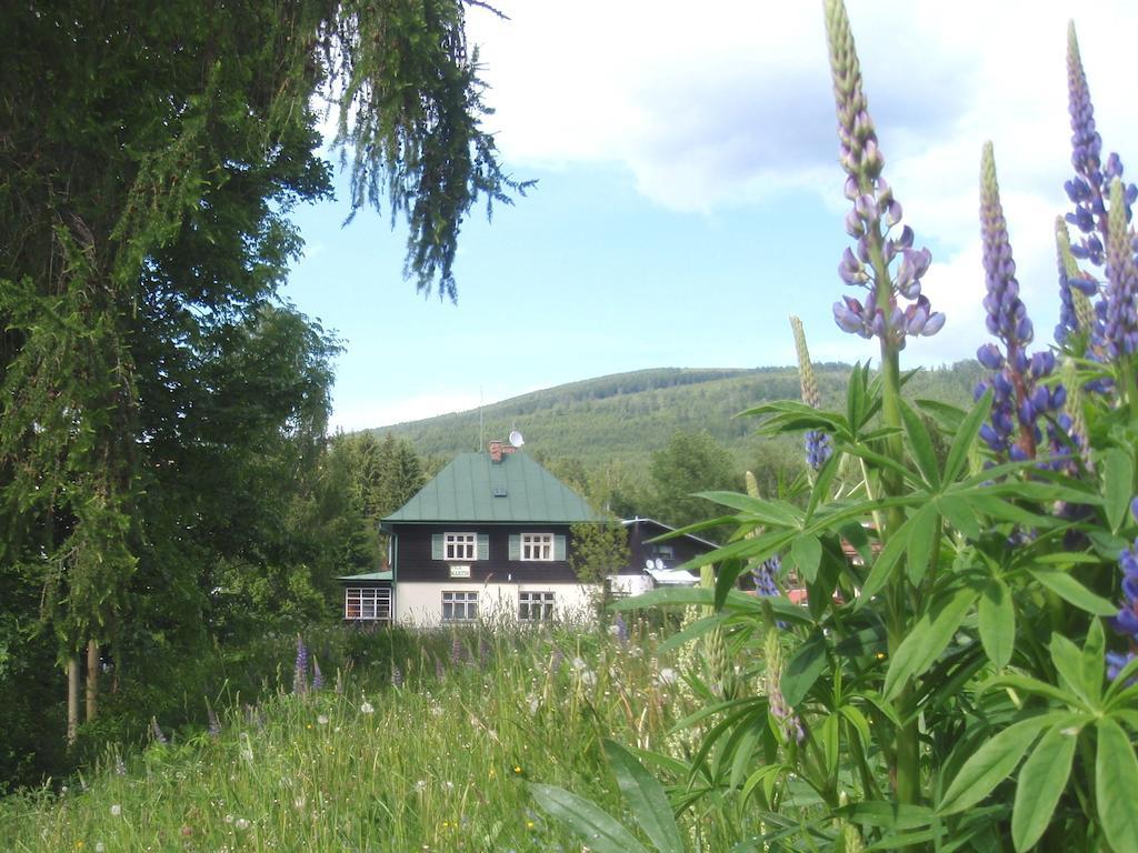 Vila Martin Harrachov Dış mekan fotoğraf